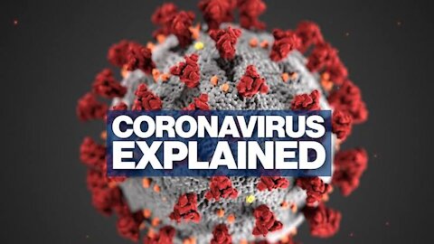 Novel Corana Virus Explained | News