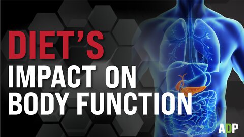 Diet's Impact On Body Function