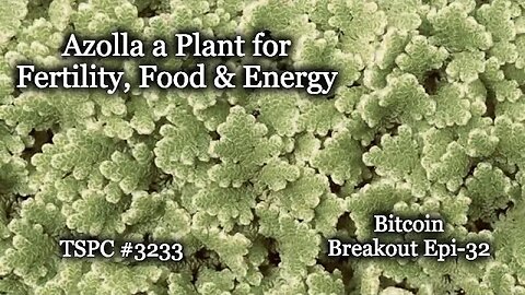 Azolla a Plant for Food, Fertility & Energy - Epi-3233