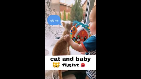 Bebby and cat fight video 😡😡 ! Cute fight video ! Very cute bebby !