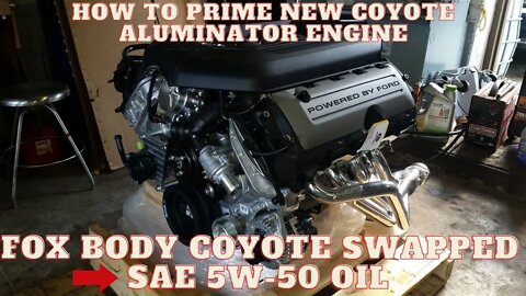 Ford 5.0L Coyote Engine priming it with 5W-50 Motorcraft oil.