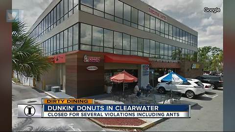 Dirty Dining: Dunkin' Donuts/Baskin Robbins temporarily closed due to 200 ants crawling near food