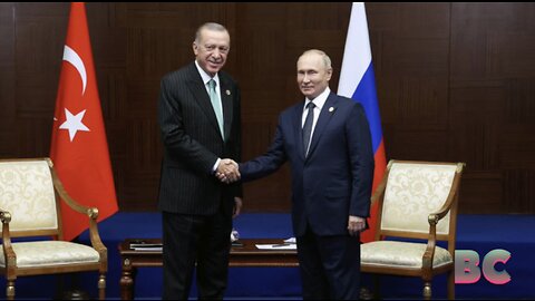 Putin to meet Erdogan amid push to revive grain deal