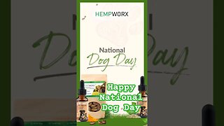 Happy National Dog Day!! 8/26. 25% off treats limited time. #dog #love