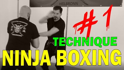 Ninja Boxing Technique #1