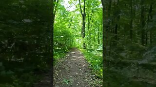 BANEASA Forest ride, Bucharest - Ilfov | 4k Virtual Tour | #shorts