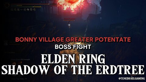 BONNY VILLAGE GREATER POTENTATE #eldenring #shadowoftheerdtree #BOSSFIGHT