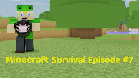 Minecraft Survival 1.17 - Episode 7