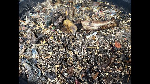 Compost pile for balcony garden.