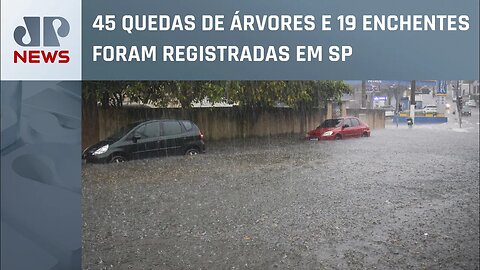 Chuva causa novos alagamentos e quedas de árvores em SP