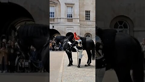 Dismount the horse blues and royals #horseguardsparade