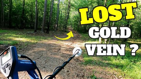 Search for the lost gold vein with our new secret weapon metal detector!