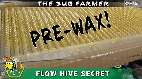 Flow Hive Secret - How-to prepare your Flow Hive frames for success and give your bees a head start.