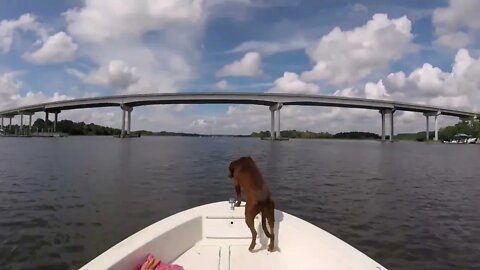 Tucker Boat Days - Boating the Stono Charleston