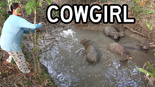 Philippines Village Life - Filipina Cowgirl Wrangles Carabao From The River