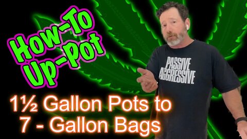 How to Transplant Cannabis from 1.5 Gallon Pots to 7-Gallon Bags