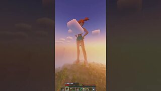 Multiplayer Minecraft Art 70