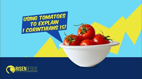 Tomatoes and 1 Corinthians | Highlight