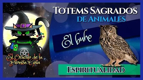 🍀El TOTEM de EL BÚHO👍El buho como ANIMAL DE PODER 🦉 ESPIRITUALIDAD😇