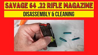 Savage Arms Model 64 .22LR rifle Magazine Disassembly and Cleaning #savagearms