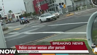 Police corner woman after pursuit