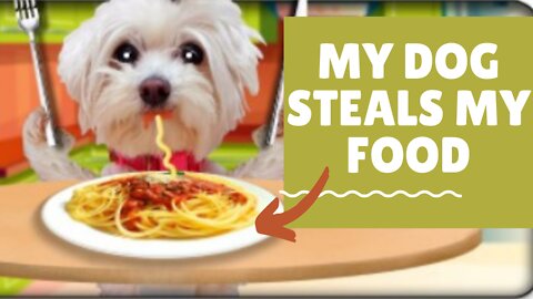 My DOG STEALS my Food!🐶🍔