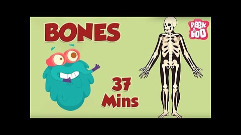 Best Learning Videos For Kids _ The Dr.Binocs Show _ Fun Learning Videos For Kids