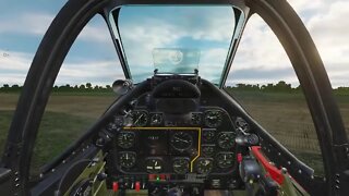 P51D Mustang (DCS)