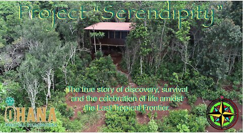 Project Serendipity: The Last Tropical Frontier #30