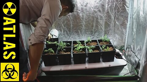 How to grow Food and Plants in an underground Bomb Shelter!