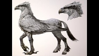 Hippogriff