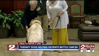 Therapy dogs helping patients battle cancer