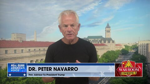 Navarro Explains His Battle Inside WH Against RINOs and Democrats for Pro-American Trade Policies
