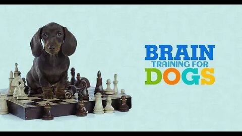 Brain Training for Dogs adrienne farricelli - brain training for dogs customer reviews