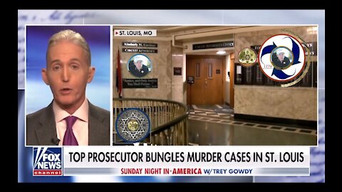 Trey Gowdy Rips Lawmakers For Funding Personal Security While Pushing To Defund Police