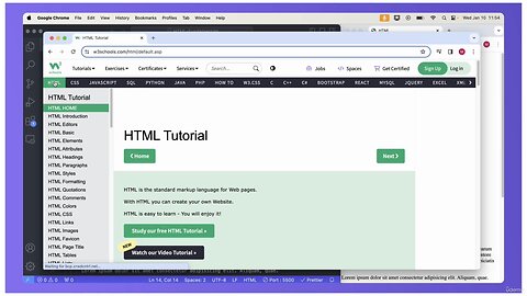 HTML and CSS Complete Course with Hands-on Portfolio Project (2/6)