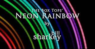 Neon Rainbow - Box Tops, The (cover-live by Bill Sharkey)