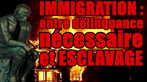 IMMIGRATION : ENTRE DÉLINQUANCE NÉCESSAIRE ET ESCLAVAGE