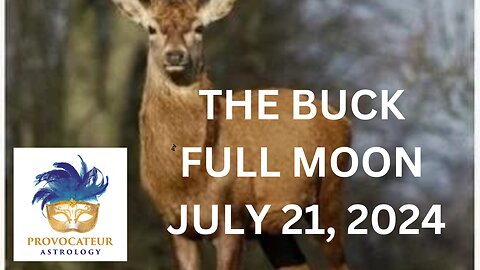 THE BUCK FULL MOON - PROVOCATEUR ASTROLOGY