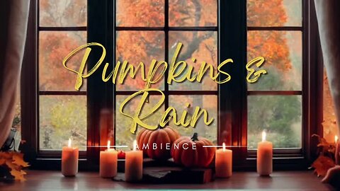 Pumpkins & Rain: Perfect Background for Relaxation | Sleep & Study Ambience