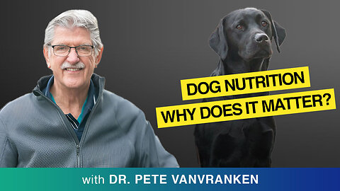 🐾 Unlock The Secrets Of Dog Nutrition 🐕