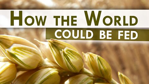 How the world could be fed - sensational discovery now available again