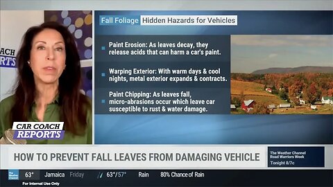 Don't Let Fall Leaves Ruin Your Car: Learn How to Prevent Damage