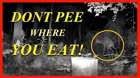 DONT PEE WHERE YOU EAT!