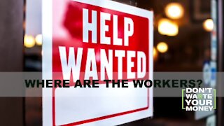 Labor Shortage: Where are the Workers?