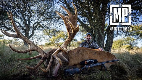 Argentina Red Stag | Mark V. Peterson Hunting
