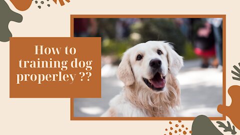 How to training dog properley ?? Best dog training video.