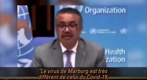 L'OMS : Le virus de Marburg est très différent de celui du Covid-19