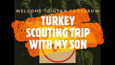 TURKEY SCOUTING WITH MY SON