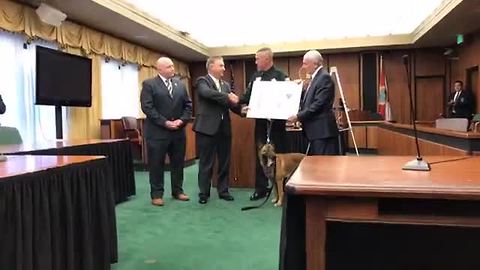 K9 Casper receives purple heart from The U.S. Marshals